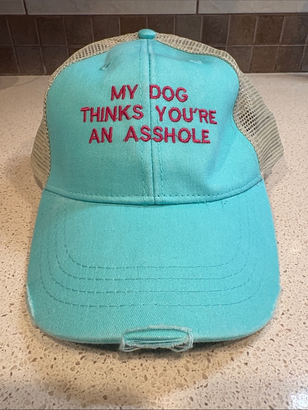 Adams NWT Turquoise Trucker Hat with Red Embroidered Funny Slogan MSRP $43